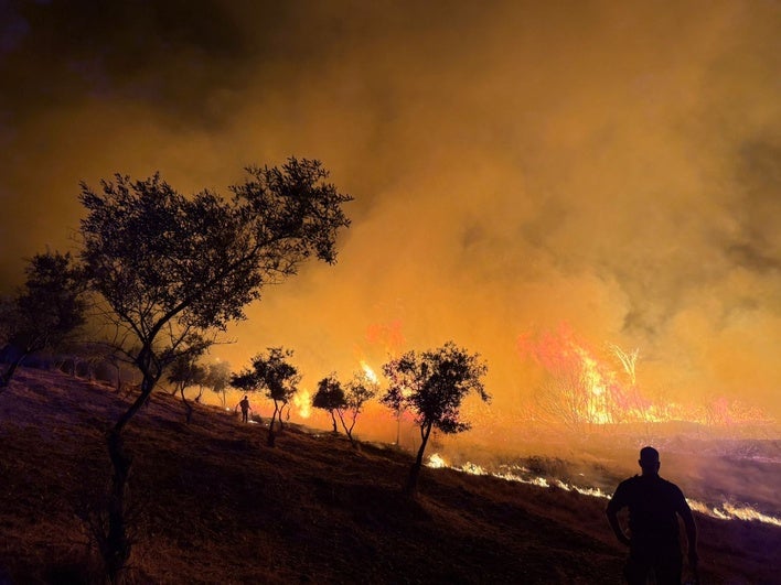 Un incendio arrasa 25 hectáreas de monte y cultivos en Perales del Puerto